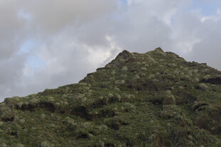 山峦 植被