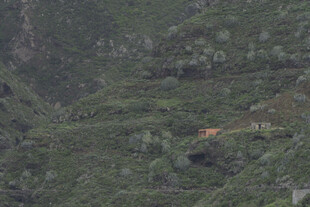 山峦 植被