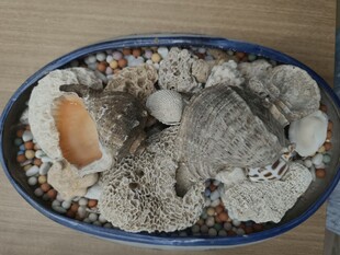 创意石头组合微景观