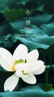 夏至