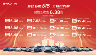 百亿补贴618 王朝抢先购