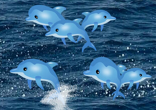 海豚