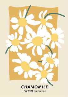 简约风洋甘菊插画图案