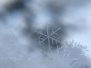 微距下的精致雪花