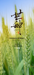 芒种海报