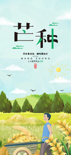 芒种海报
