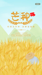 芒种时节的金黄麦田
