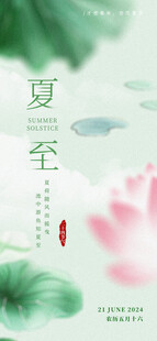 夏日荷花夏至节气插画