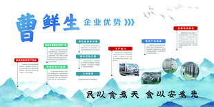 公司简介