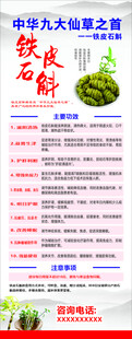 铁皮石斛易拉宝展架