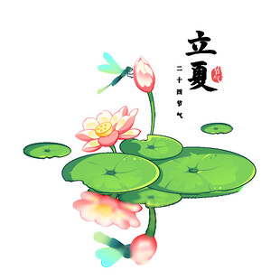 立夏荷花蜻蜓图