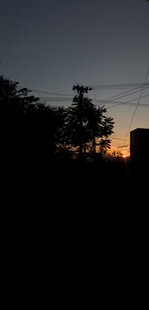 日落时分的树木与建筑剪影