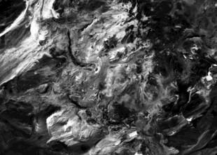 黑白纹理岩石特写