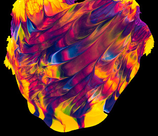 抽象多彩人脸艺术图像