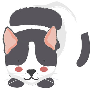 趴着的可爱黑白猫咪