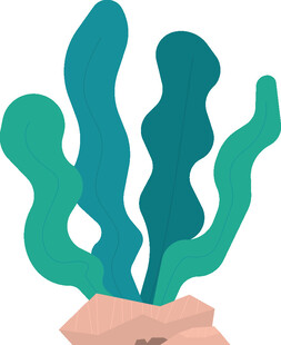 海底海草插画