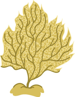 金色叶脉状植物插画