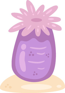 紫色花瓶中的粉色花朵