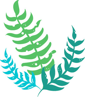 清新蕨类植物图案设计
