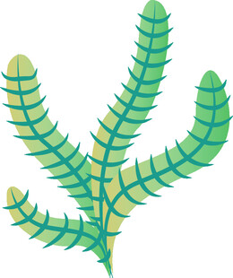 绿色分叉植物插画图案