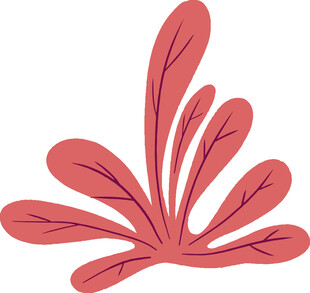 粉色叶片植物插画