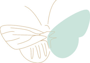 简约线条蝴蝶插画图案