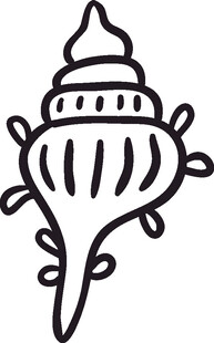 手绘海螺图案设计元素