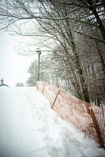 冬日雪景中的围栏与树木