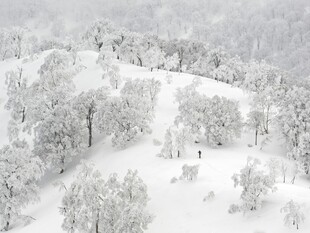 雪覆山林冬日美景