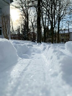 冬日雪景中的积雪小道
