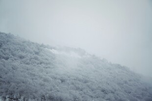 雪覆山林的静谧景致