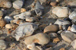 沙滩上的多彩鹅卵石