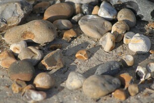 沙滩上的多彩鹅卵石