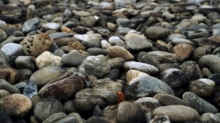 铺满鹅卵石的地面