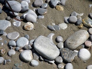 沙滩上的多彩鹅卵石