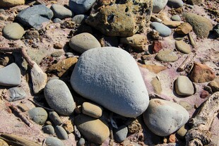 沙滩上的多彩鹅卵石