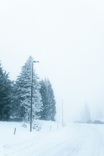 冬日雪景中的静谧林间道路