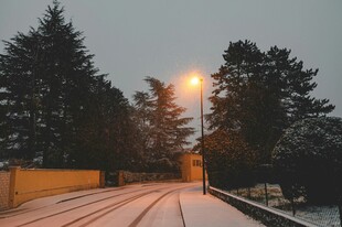雪后林间小道的静谧景象