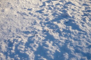 冬日雪面纹理特写
