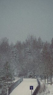 冬日雪景中的林间道路