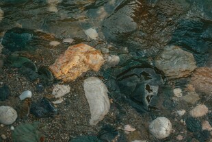 溪边多彩鹅卵石