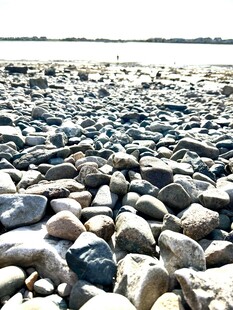 河滩上的多彩鹅卵石