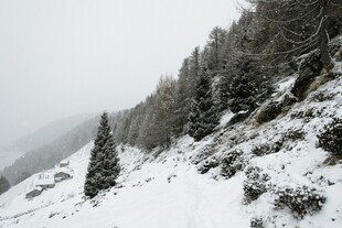 雪覆山林的冬日美景