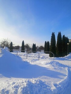 冬日雪覆墓地静谧景象