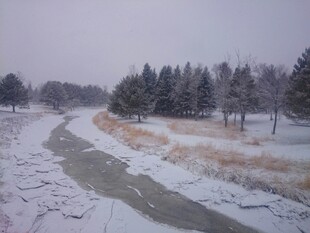 冬日雪覆河流与树木景观