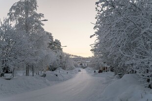 冬日雪覆道路静谧景象