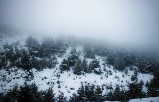 雪覆山林雾霭间