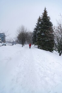 雪地中的树木与行人