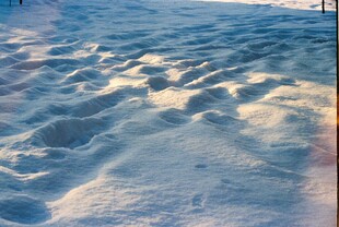 冬日雪地足迹