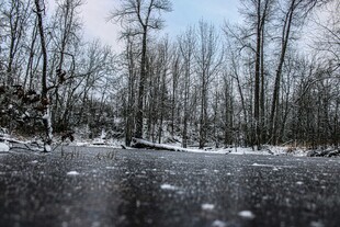 冬日雪覆林间道路